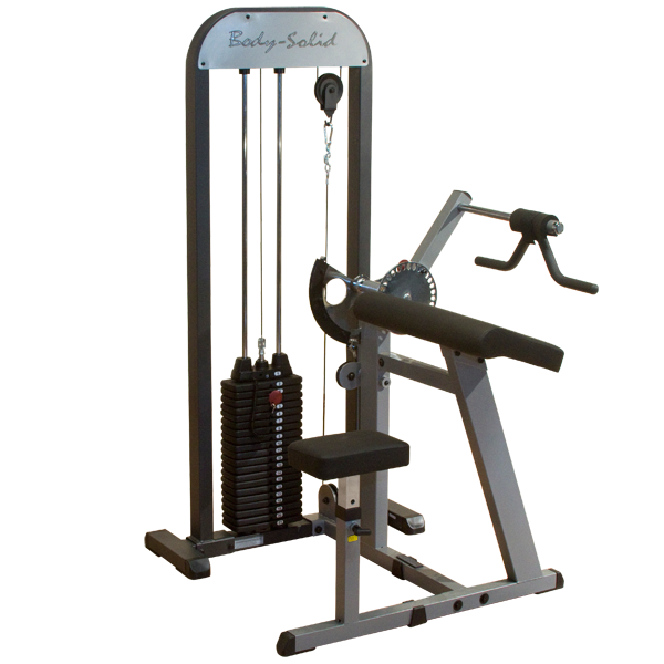 Body Solid Pro-Select Biceps and Triceps Machine GCBT-STK