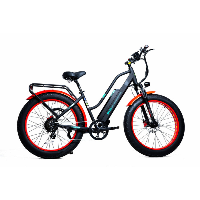 GREENBIKE ELECTRIC MOTION 48 V/13 Ah/750 W Fat Tire Electric Mountain Bike EM26 2021 Edition HF261F